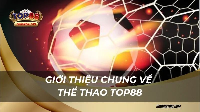 Giới thiệu chung về Thể thao Top88