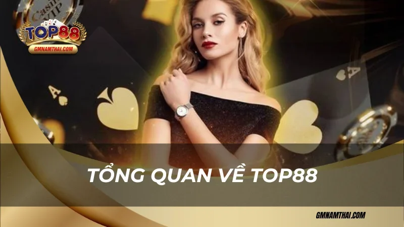 Tổng quan về Top88 có hợp pháp không