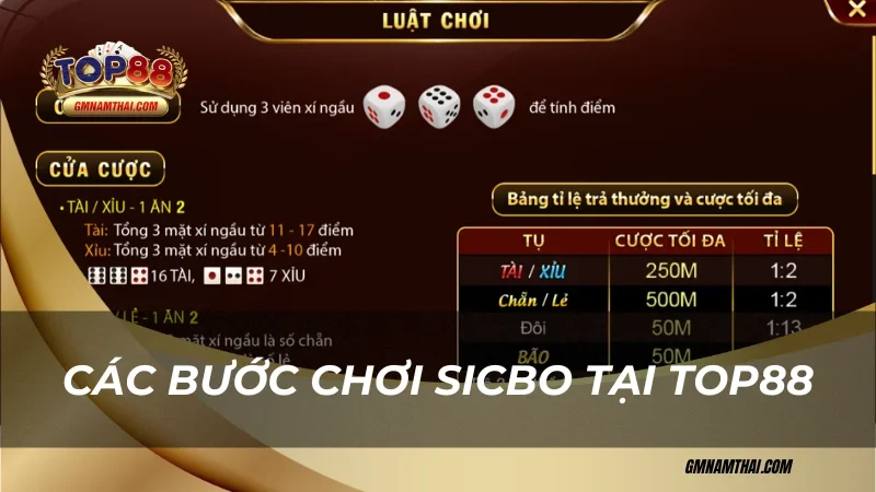 Các bước chơi sicbo Top88