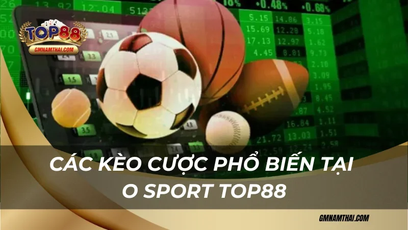 Kèo cược phổ biến tại O Sport Top88