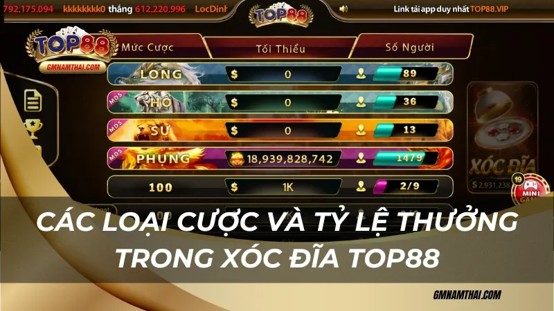 Các loại cược và tỷ lệ thưởng xóc đĩa Top88