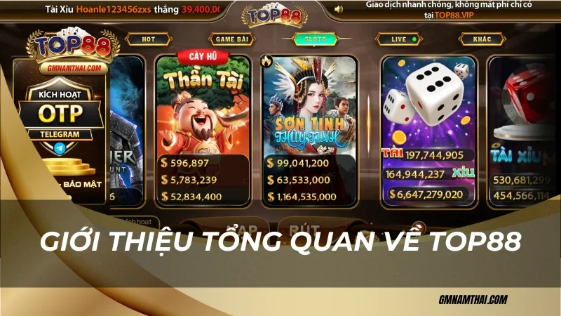 Giới thiệu tổng quan cẩm nang chơi cá cược tại Top88