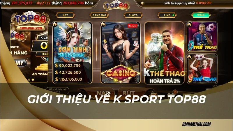 Giới thiệu về K Sport Top88