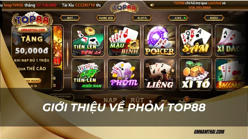 Giới thiệu về phỏm Top88